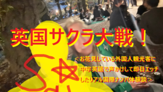 お花見してる外国人観光客女子に中学英語で声掛け連れ出しして即エッチのナンパ体験談
